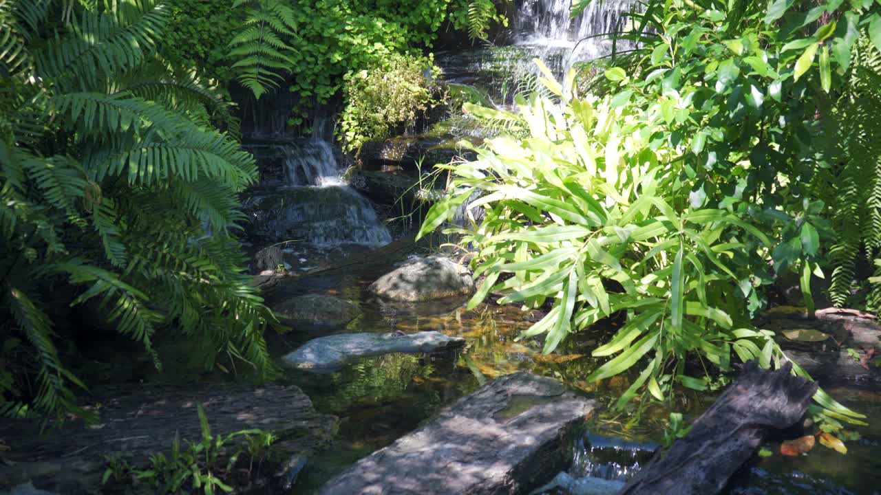 装饰池塘有喷泉和金鱼，鱼池有瀑布喷泉视频素材