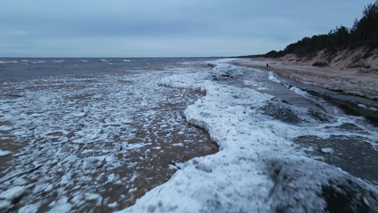 带着狗的人沿着冰漂流在有风的天气和海浪在海上视频素材