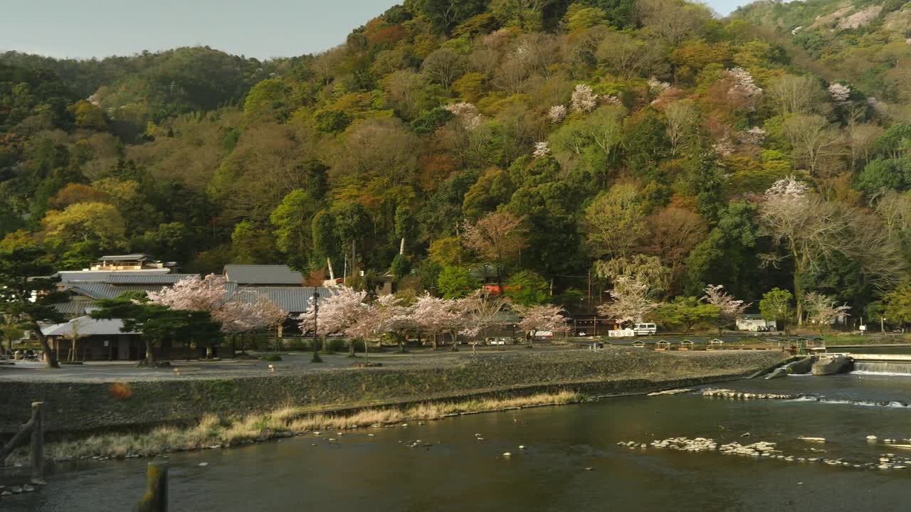 Katsura河和岚山的全景，京都，在春天视频素材