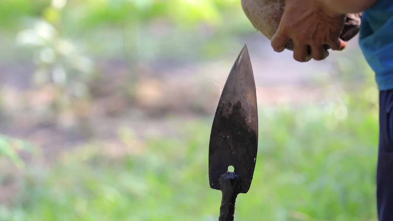 近距离的手剥椰子与户外尖刀在过程中。视频素材