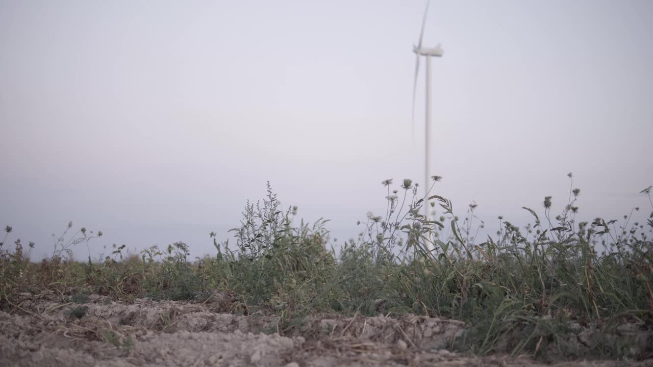 风力涡轮机前，杂草在田里视频下载