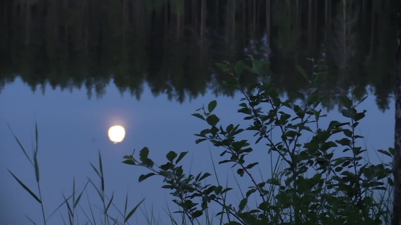 芬兰的荒野湖-月光下的夜晚感受视频素材