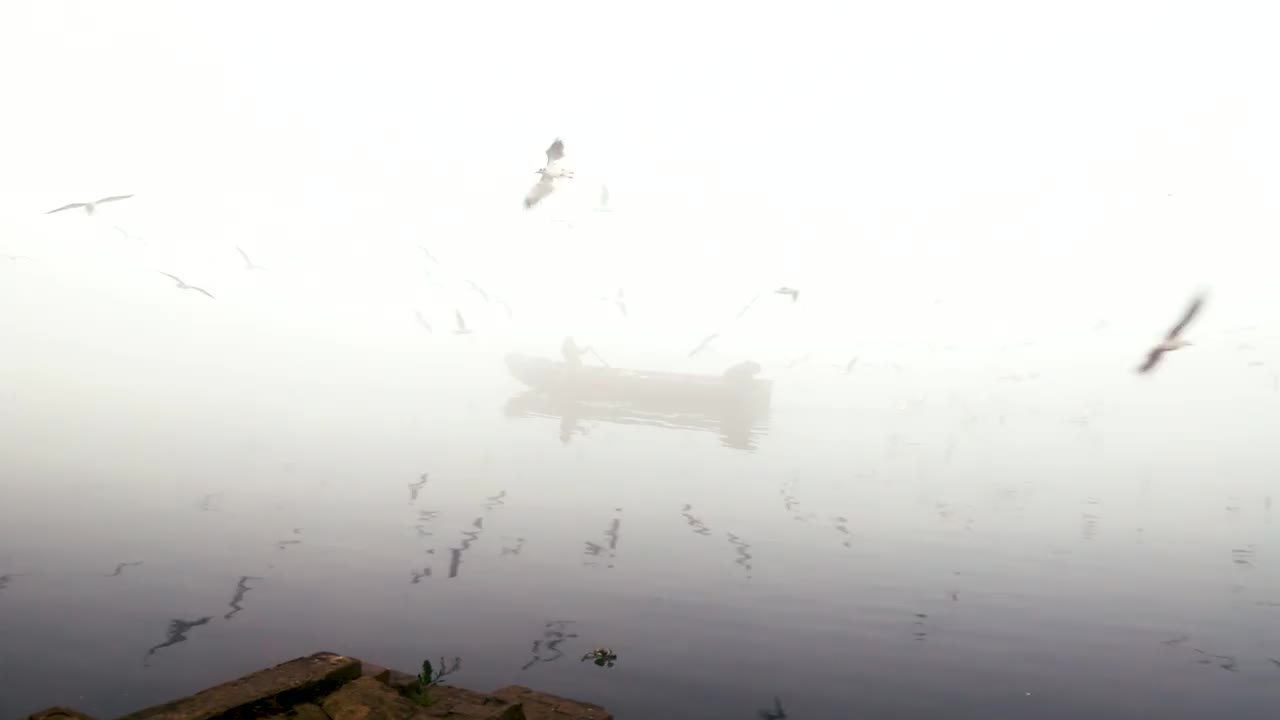 风景一览亚穆纳，河中有船。视频下载