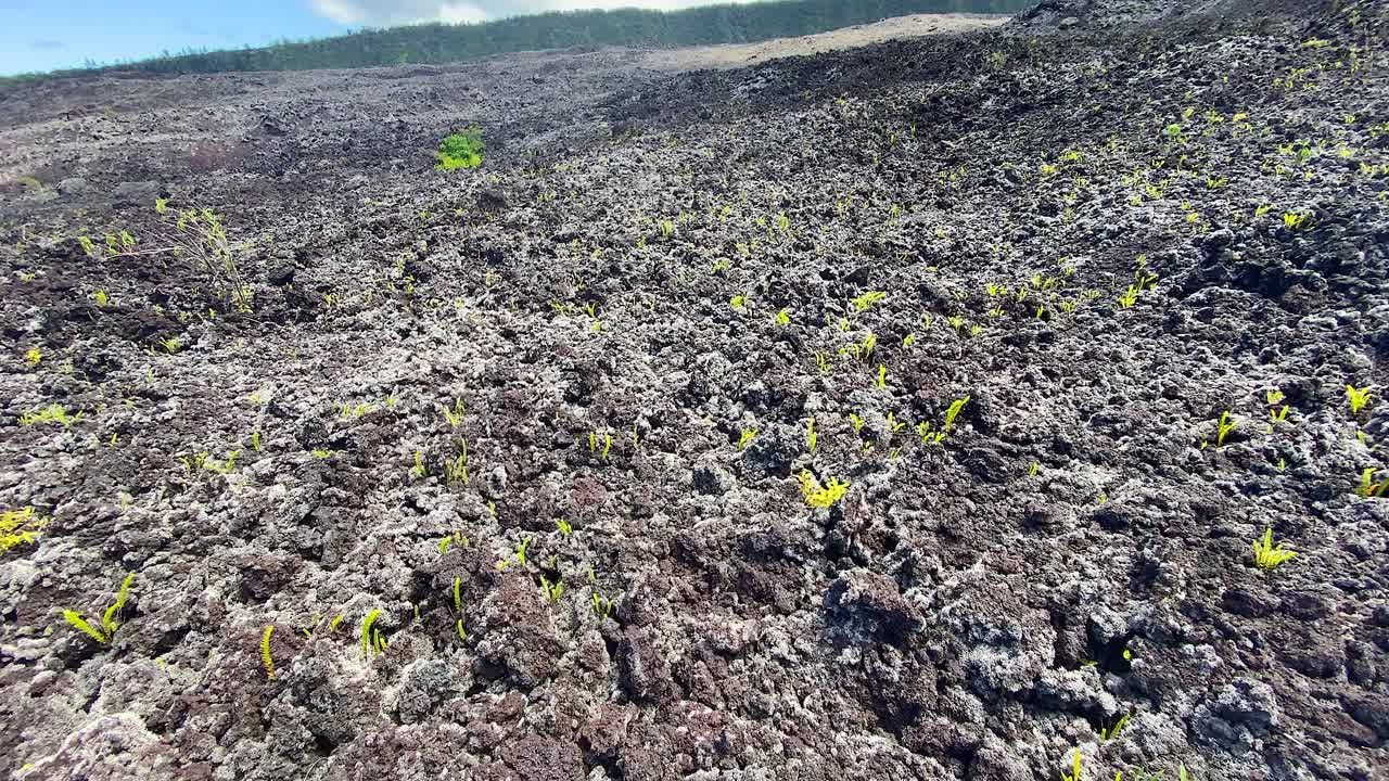 留尼旺岛上的火山熔岩流的全景Brûlé视频素材