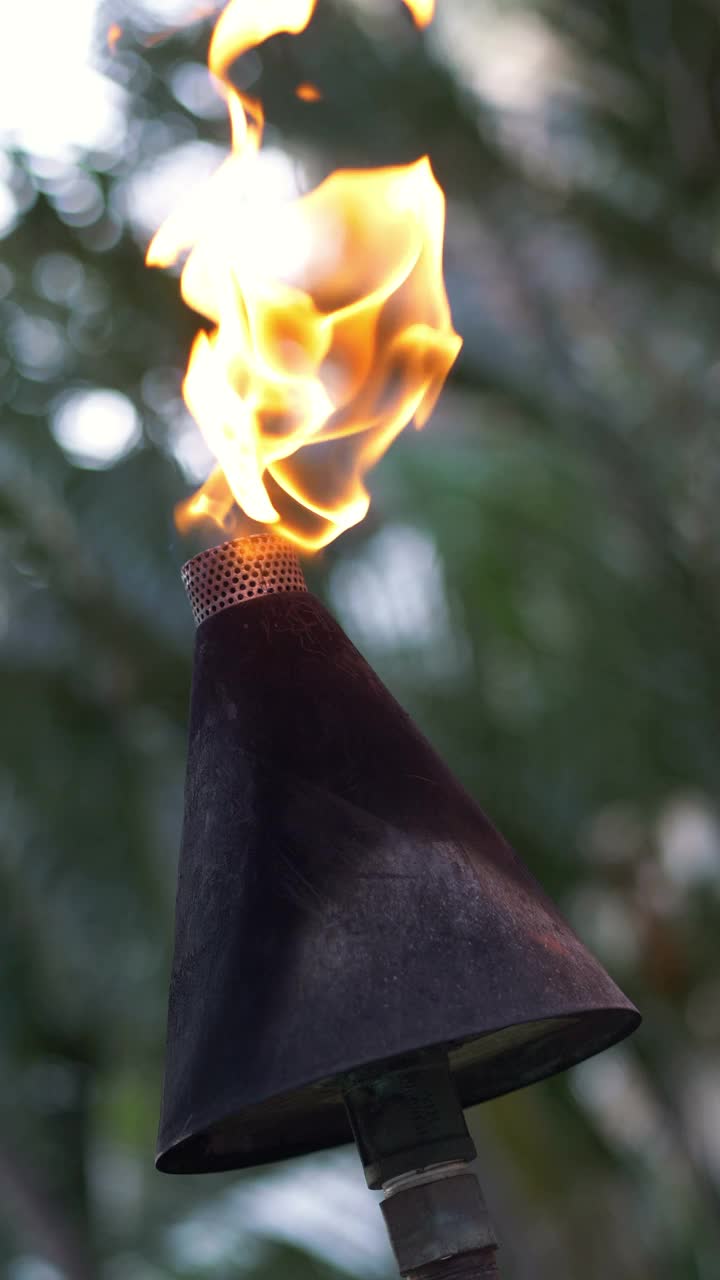 夏威夷提基火炬的垂直视频，4k慢镜头，每秒60帧视频素材