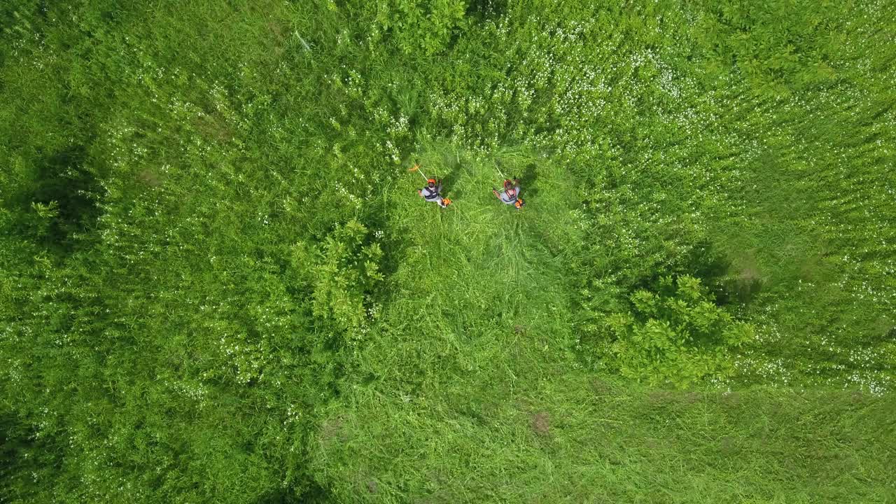 年轻的成年男子割草的Arial视图视频下载