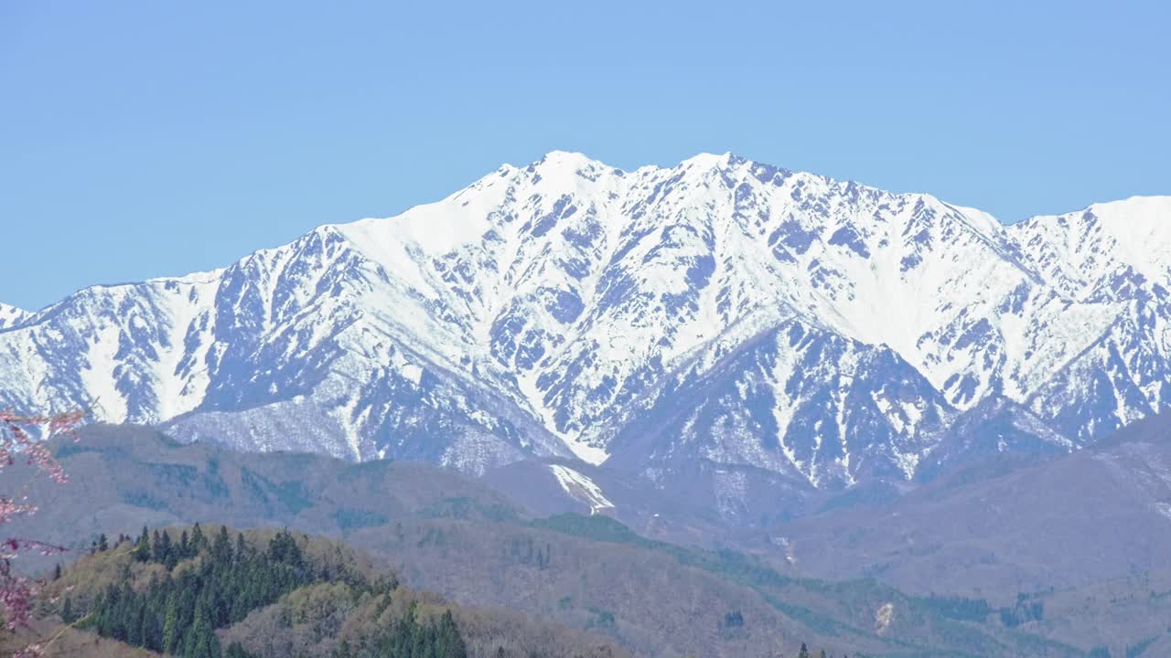 雪山的残雪和春天的樱花视频下载