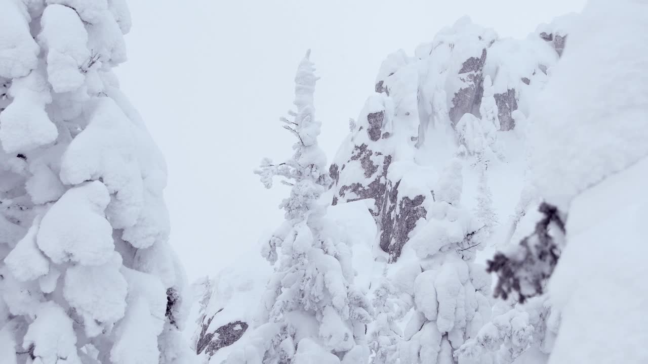 雪树随风飘动。岩石高耸于冬季森林之上。冷杉的树枝被霜和冰覆盖着。冬天去山顶旅行视频下载