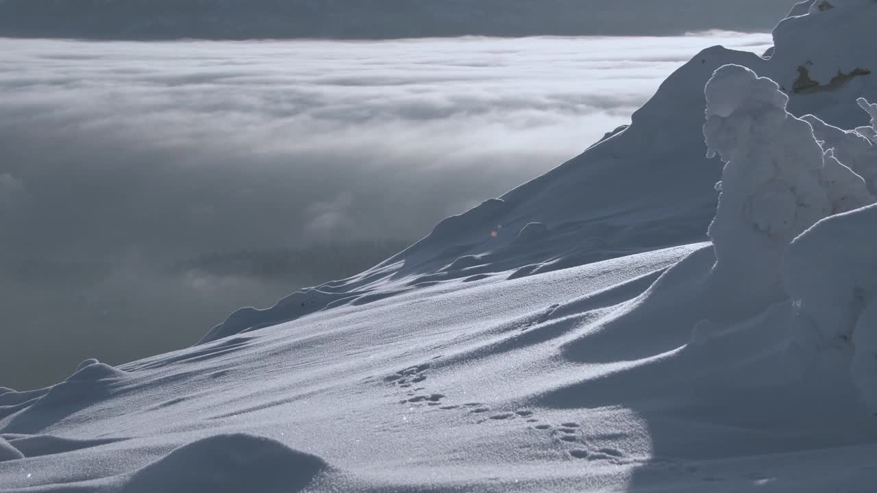 从山谷里的雪坡上看。浓雾和云像河流一样在地平线上流动。树被冻住了，完全被霜覆盖着视频下载