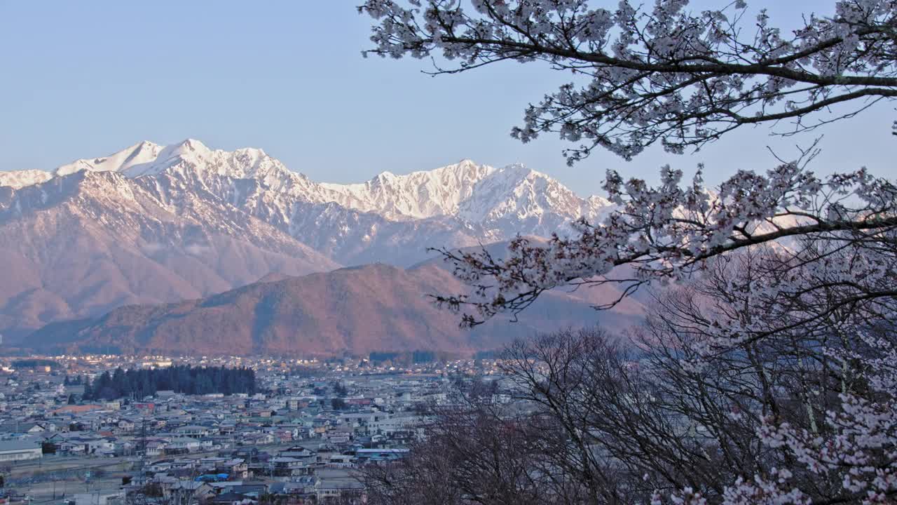 雪山的余雪和早晨的樱花视频下载