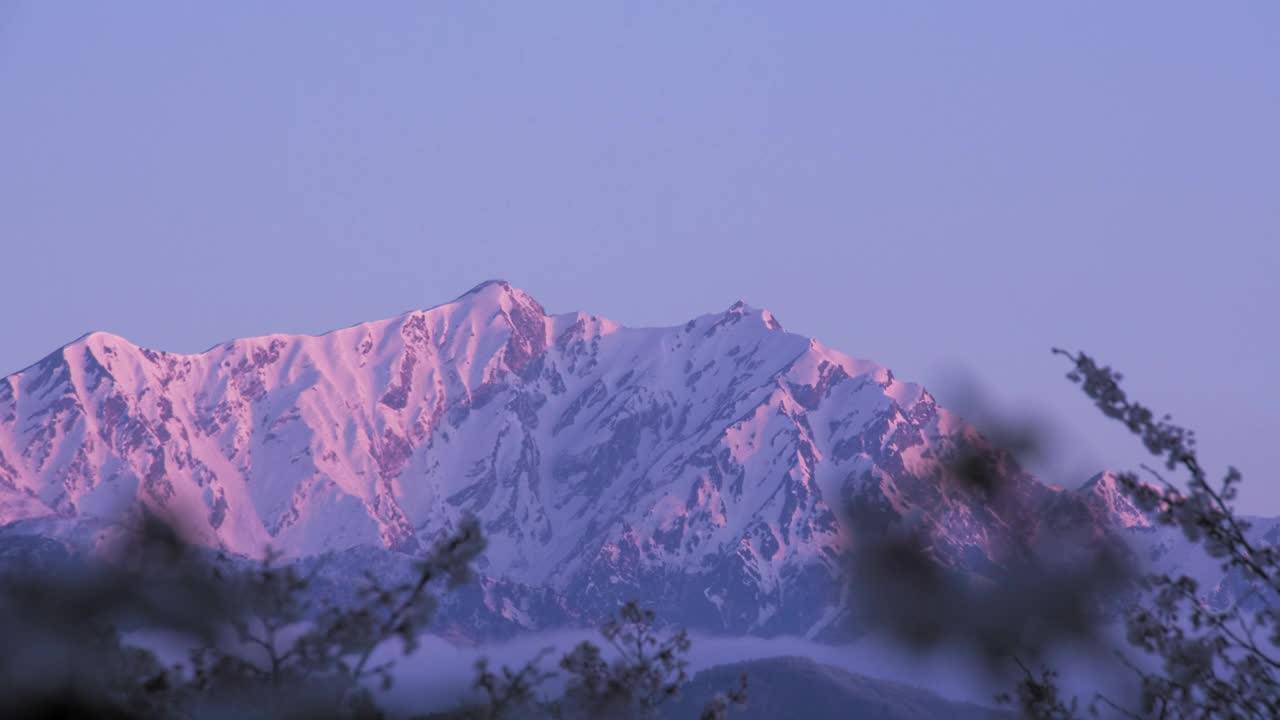 当太阳升起的时候，剩下的雪山将会在早晨绽放出樱花视频下载