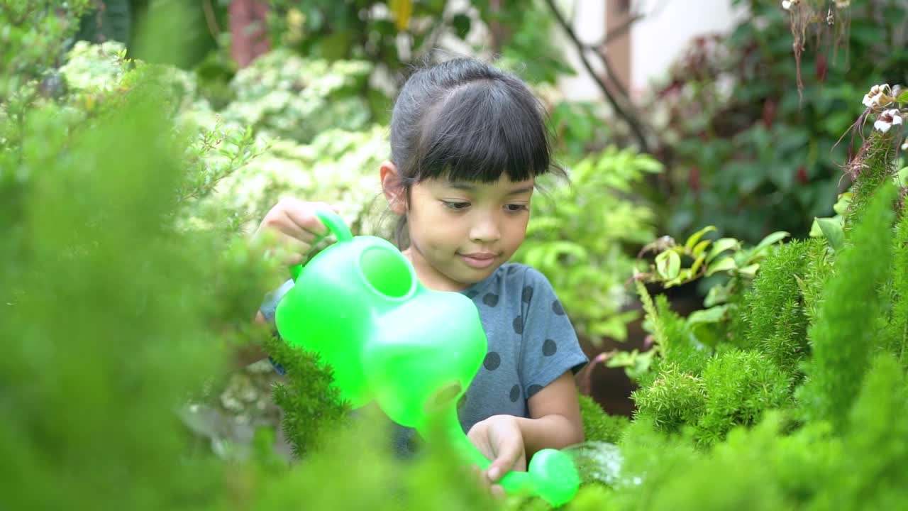 孩子们在花园里给植物浇水视频下载