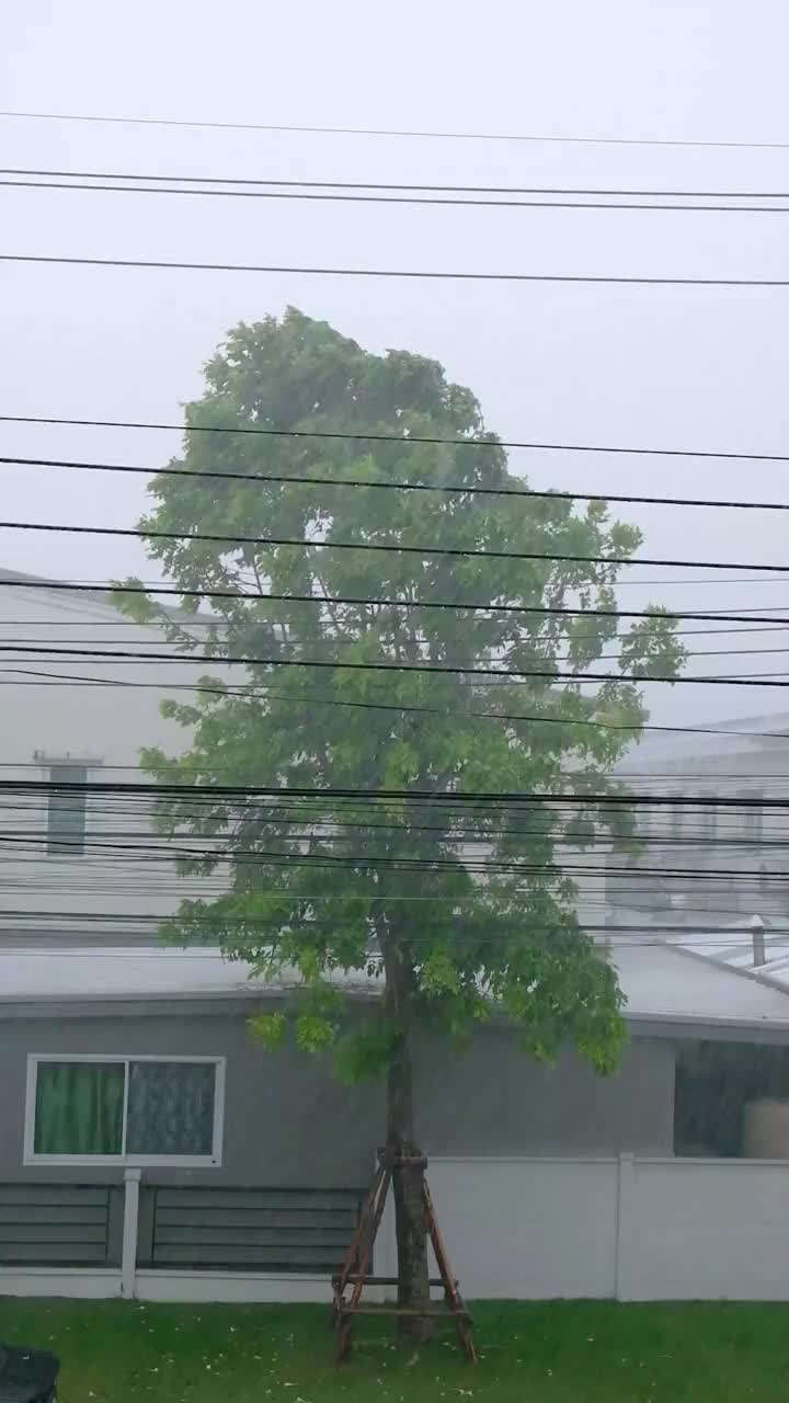 夏天雷雨交加，雷电交加视频下载