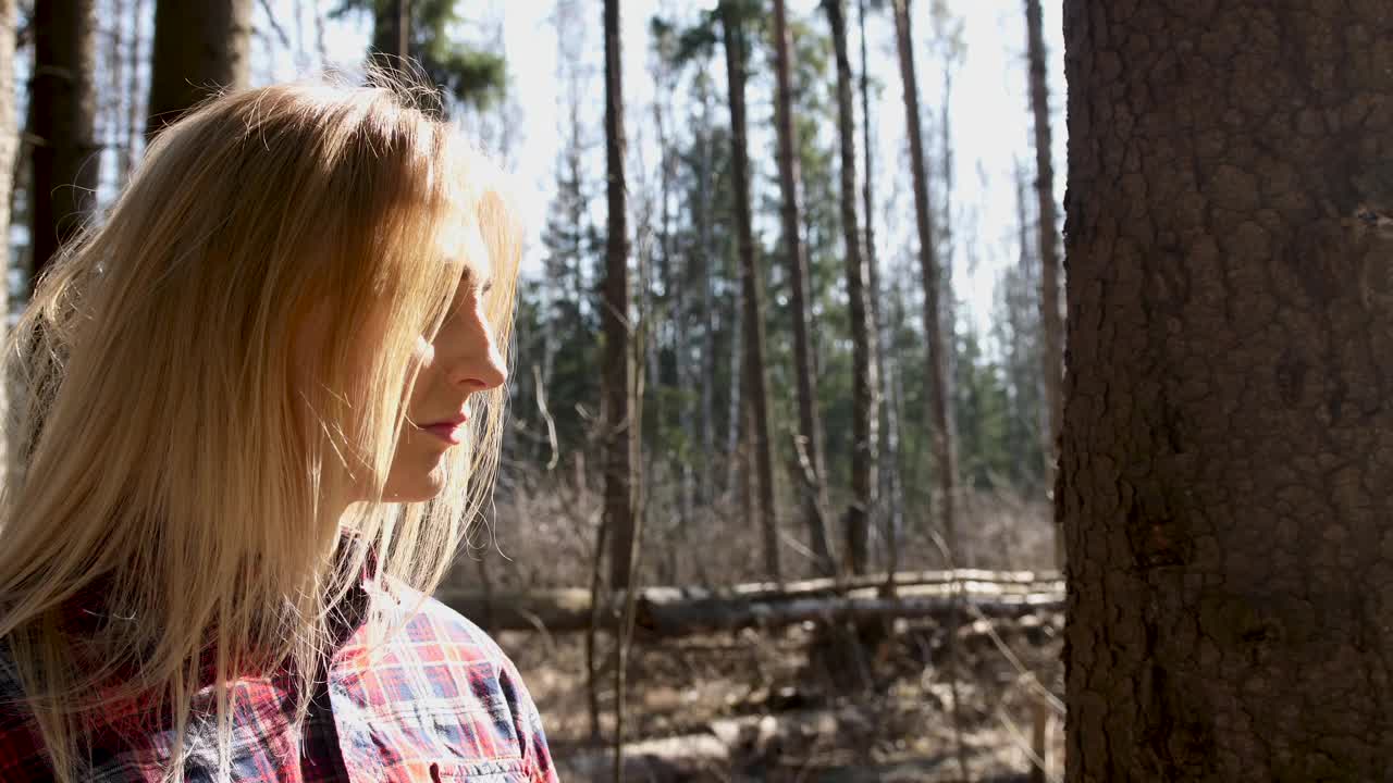 森林里的伐木工女孩的肖像。穿格子衬衫和牛仔裤的女孩。阳光灿烂的森林里的金发女孩视频下载