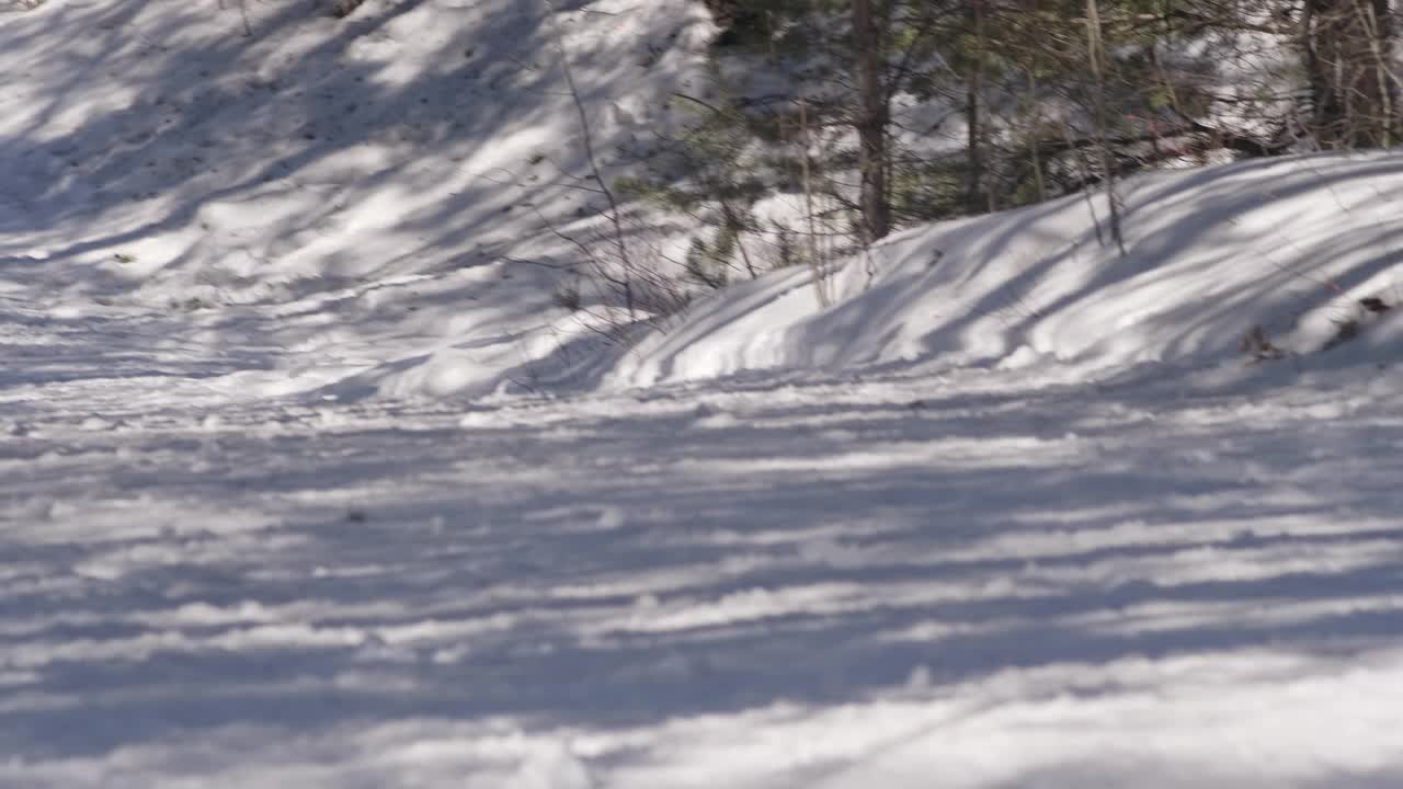 冬季两项速降滑雪运动员视频下载