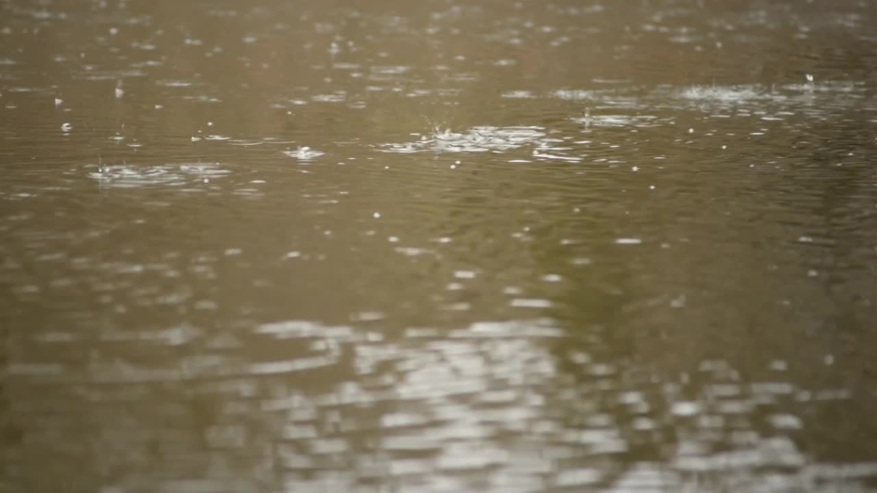 在早春的树木背景下，雨点落在一条脏河里的水上视频下载