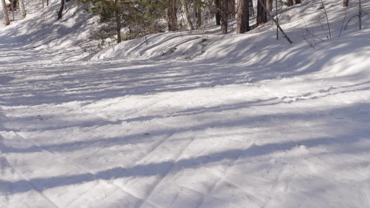 冬季两项比赛中下坡滑雪的滑雪者视频下载