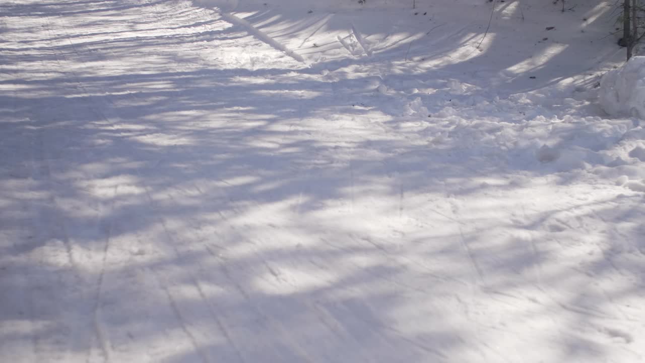 冬季两项运动员在树林里滑雪视频下载