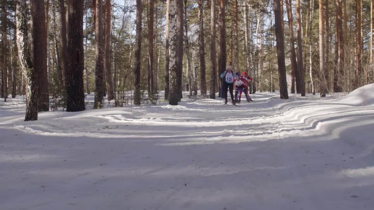 在森林里滑雪的职业运动员视频下载