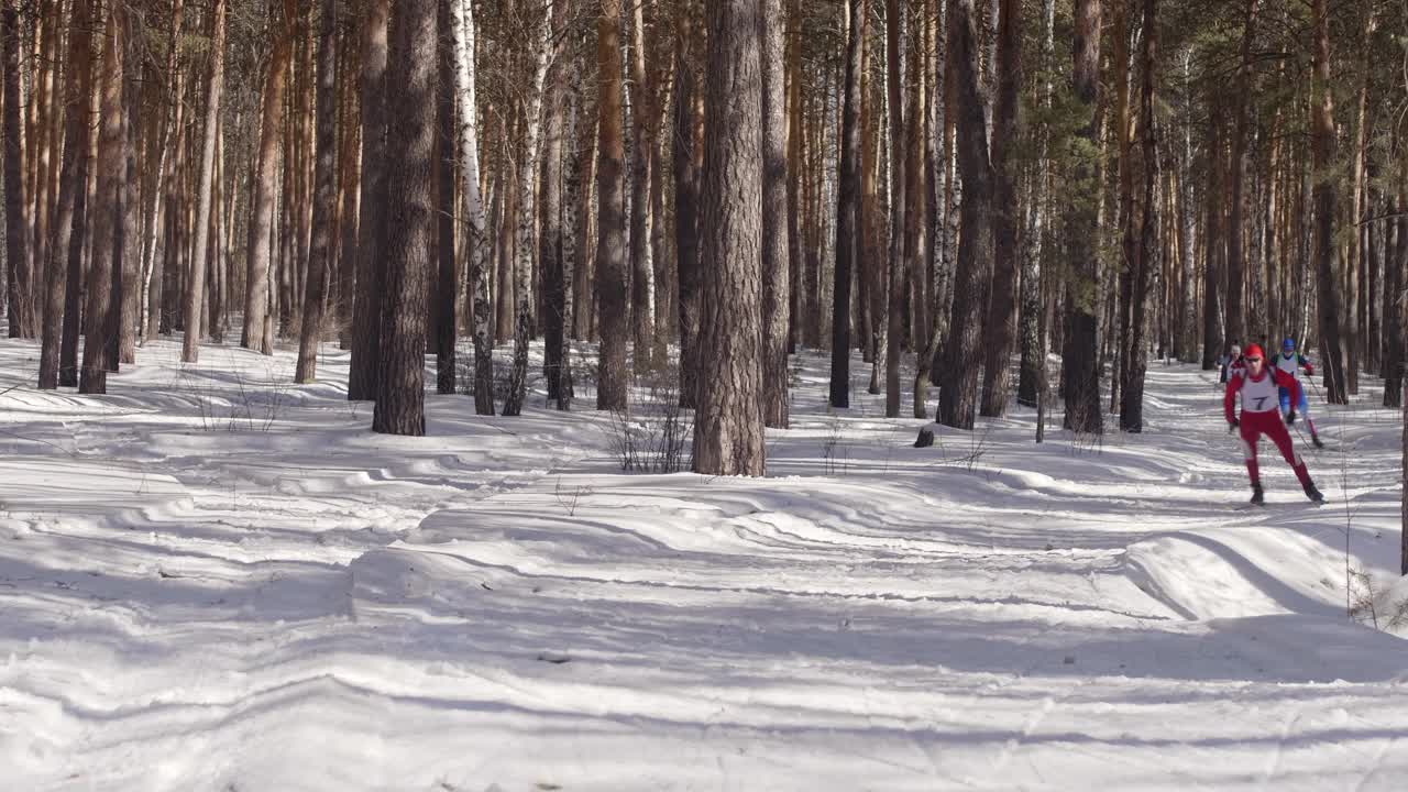 冬季滑雪运动员穿过树林视频下载