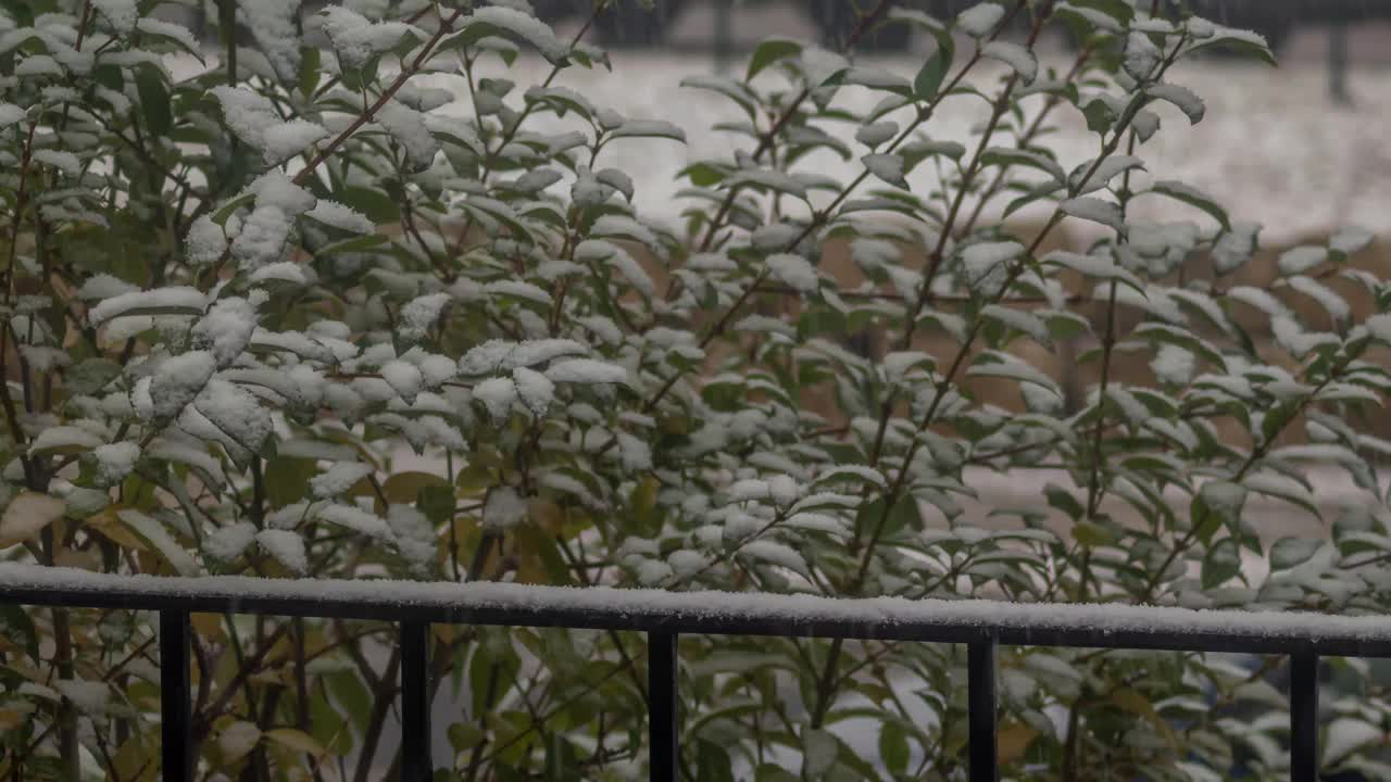 在扶手上堆积的雪视频下载