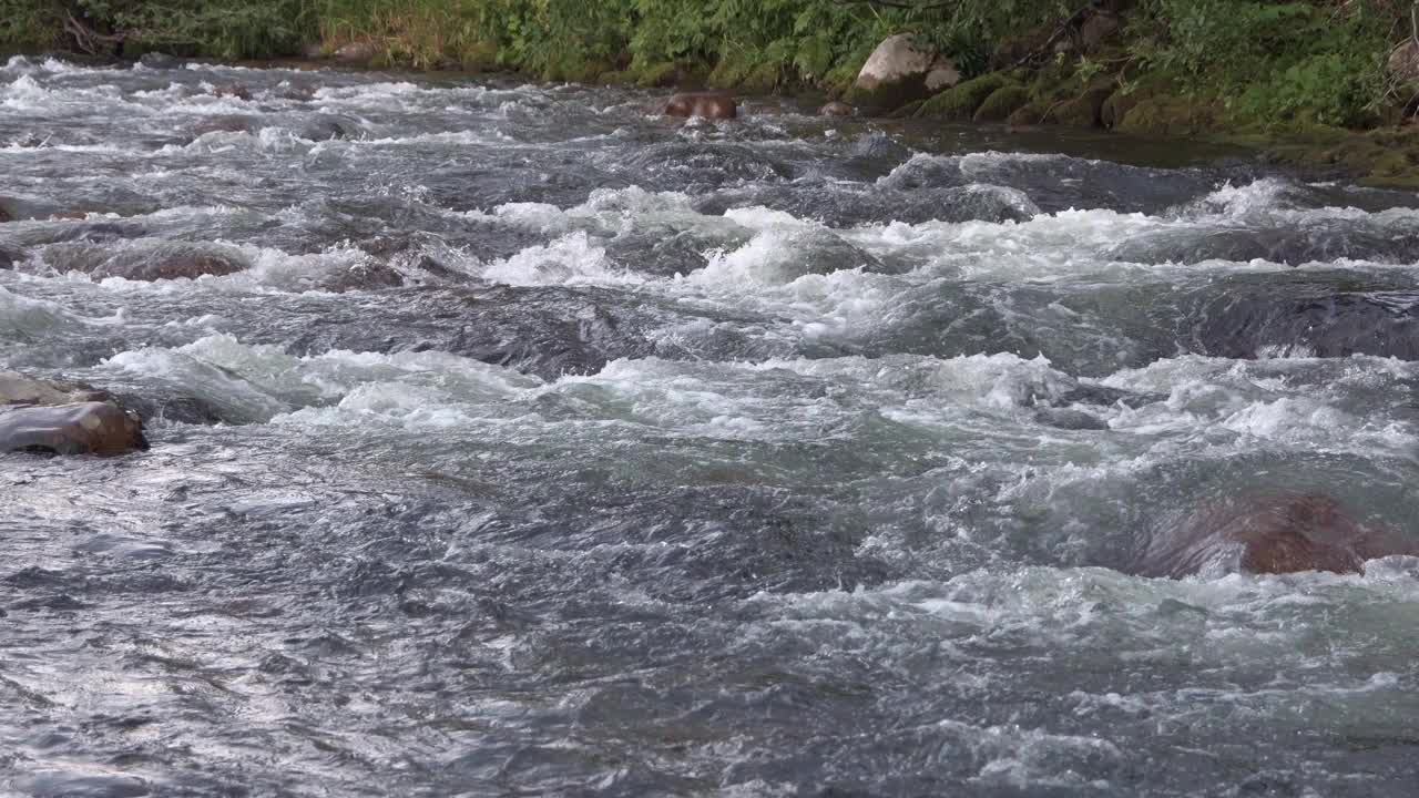 河水汹涌的蓝色水流。波浪拍打着，冒着气泡。石头被水包裹着，顺着巨石流下。海滩上长满了苔藓和野生植物视频下载