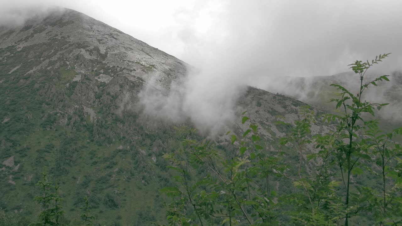 雨云漂浮在森林山丘上。风吹动了绿枝。山区多云天气视频下载