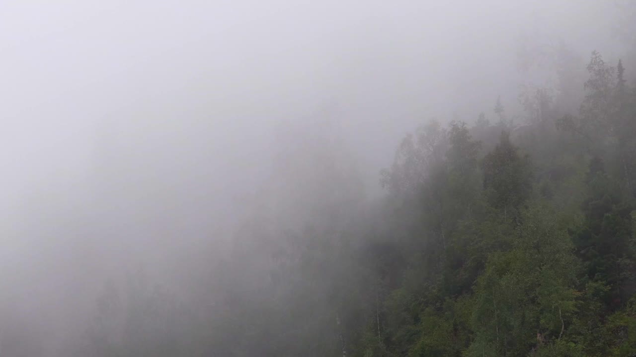 浓雾笼罩着森林斜坡。低矮的雨云扫过青山。潮湿的天气和高湿度会产生雾视频下载