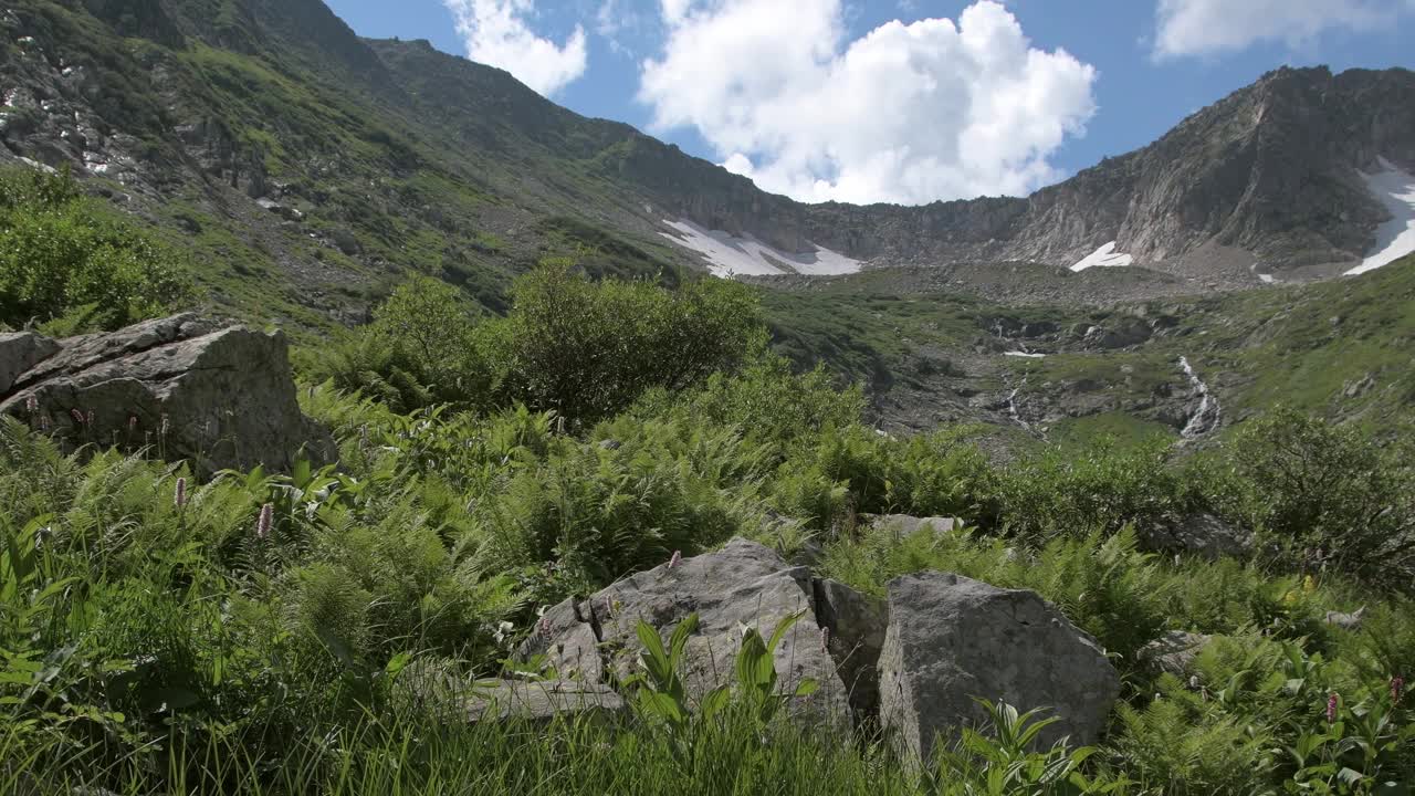 夏日的山谷。风吹起蕨类植物和青草。云漂浮在蓝天的岩石山脊上。岩石的斜坡上有冰川融化后形成的溪流视频下载