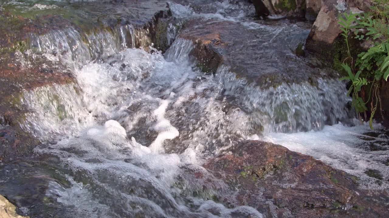 森林溪流潺潺流过花岗岩巨石。阳光照在冒泡的水上。河床中的岩石和苔藓。岸上，绿草随风飘动视频下载