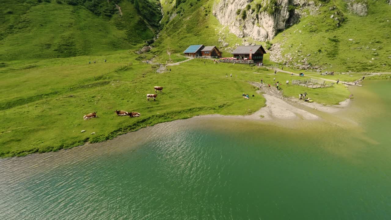 鸟瞰图的山小屋在美丽的湖在奥地利阿尔卑斯山。放牧的牛和放松的游客视频下载