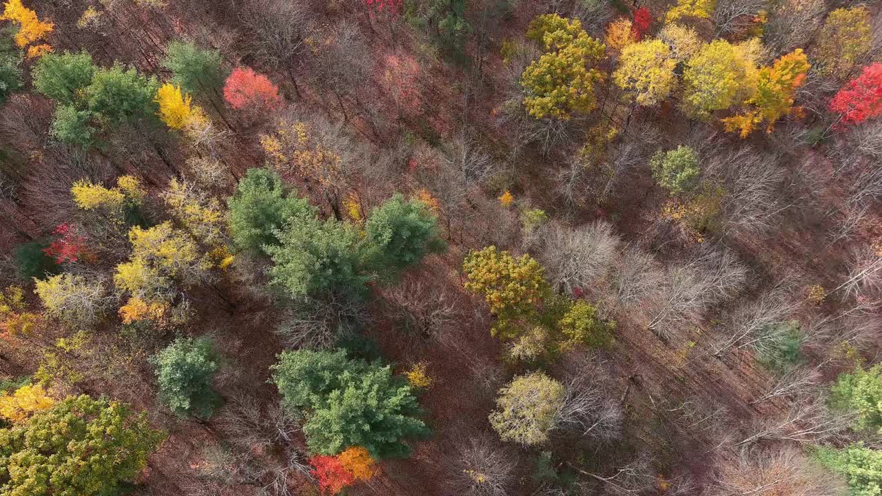 秋天的Chenango河谷视频下载