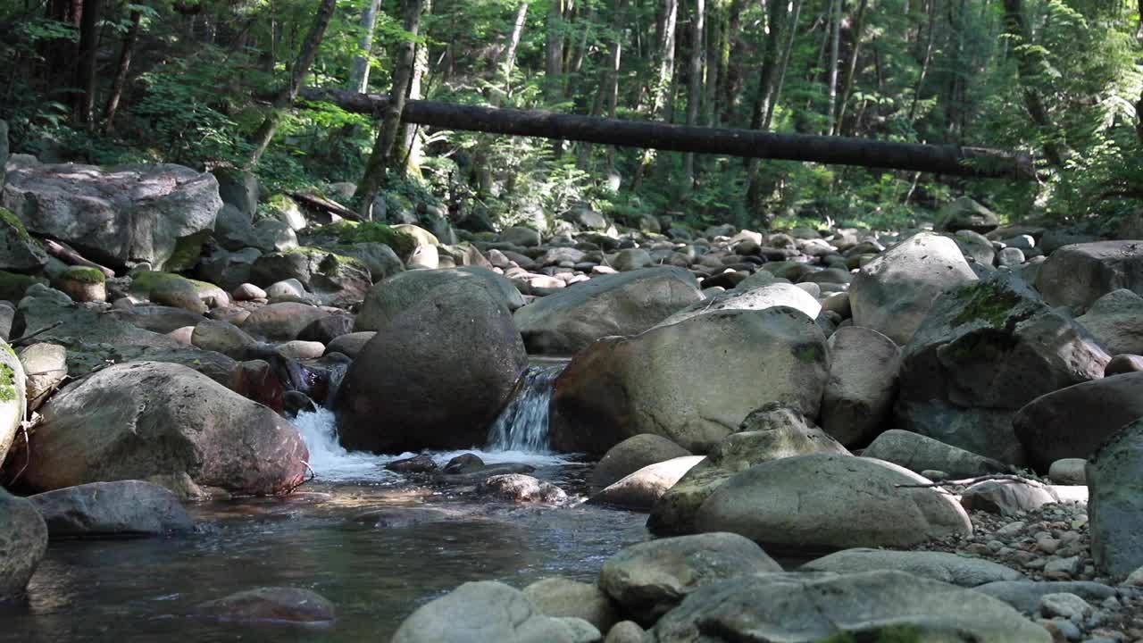 清澈的溪水在山间流淌视频下载