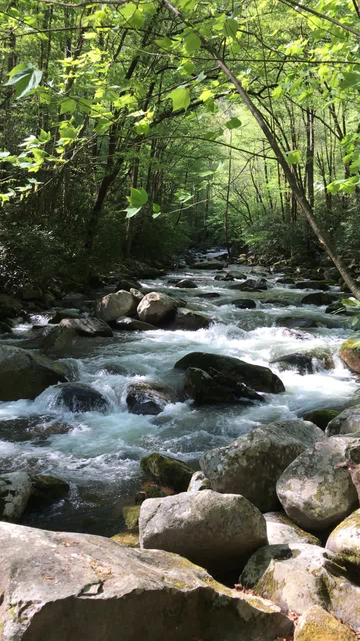 流动岩石溪视频素材