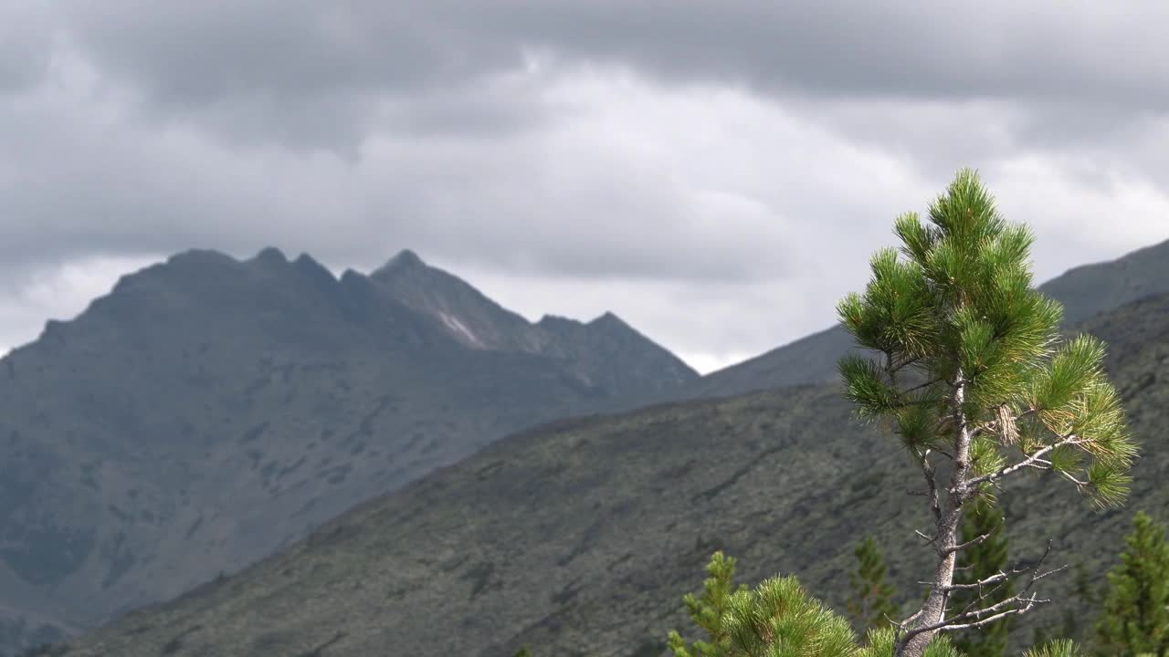 树的背景剪影山脉。风吹松枝。云慢慢地漂浮在灰色的天空中。观岩谷，以顶峰为攀登目标视频下载