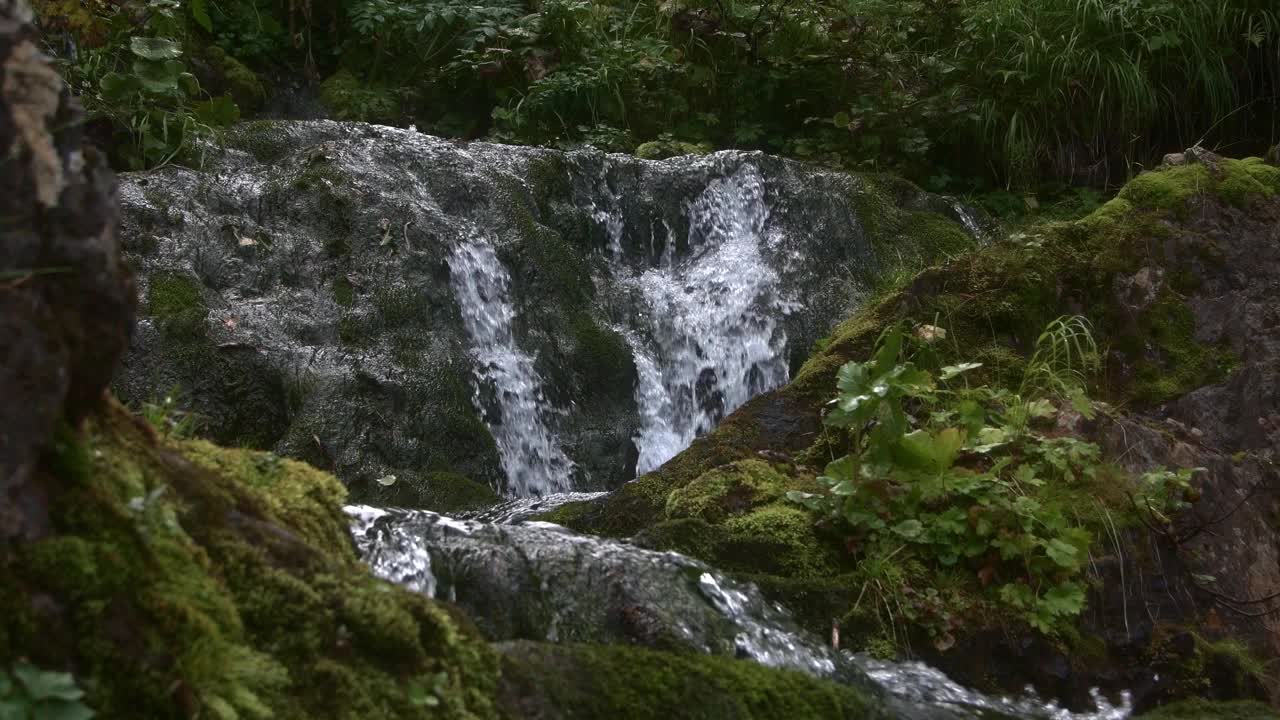 热带瀑布和多雨森林。小溪顺着长满苔藓的石坡流下去。水柱溅在岩石上，溅起水花。巨石上覆盖着绿色植物和蕨类植物视频下载