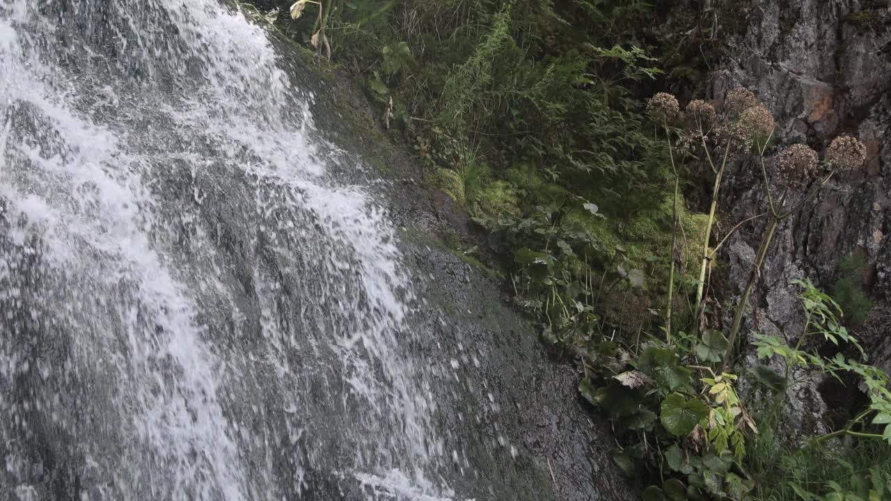 山涧顺着长满青苔的石墙流淌而下。水溅在岩石上，溅起水滴和水柱。热带瀑布岸边长满了绿色植被视频下载