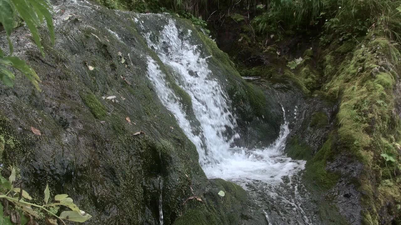 新鲜的溪水顺着潮湿的、长满青苔的竖墙流下来。雨林中的山河。小瀑布溅起水花，水花飞溅视频下载