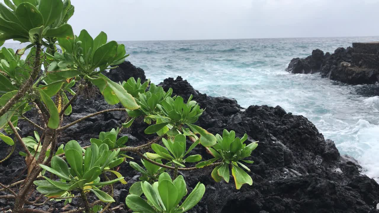 这是科摩罗岛的海岸景色。整个海岸充满了多年前来自喀萨拉火山的熔岩视频下载