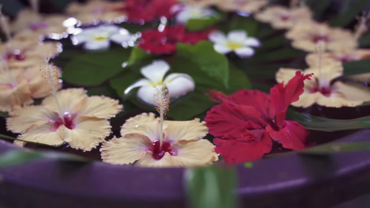 彩色的芙蓉花装饰在水疗/健康/酒店/度假村。缓慢的运动。亚洲,泰国。美丽的花朵。视频下载