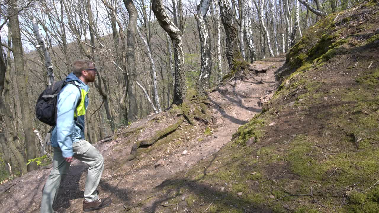 让徒步旅行者走在森林的小上坡路上视频素材