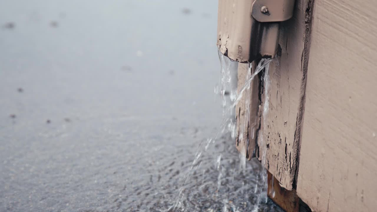 雨家伙视频下载