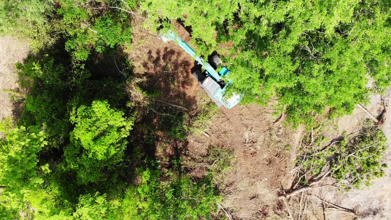 人类砍伐森林的顶视图视频下载