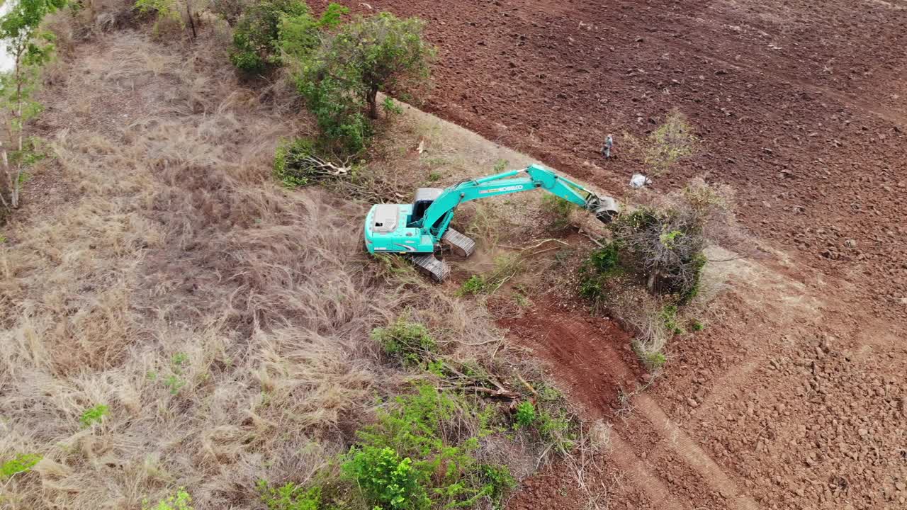 人类砍伐森林的顶视图视频下载
