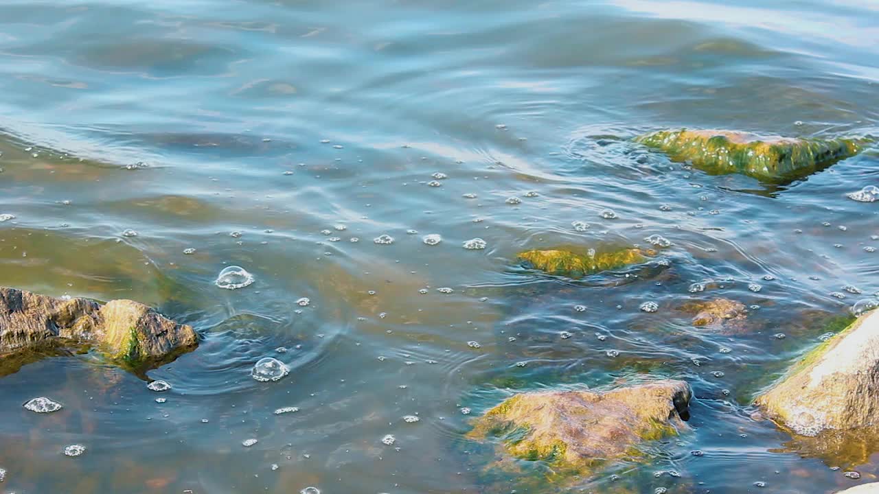 平静的海浪之间的石头在白天，冲洗海岸，苔藓和藻类的自然背景视频下载