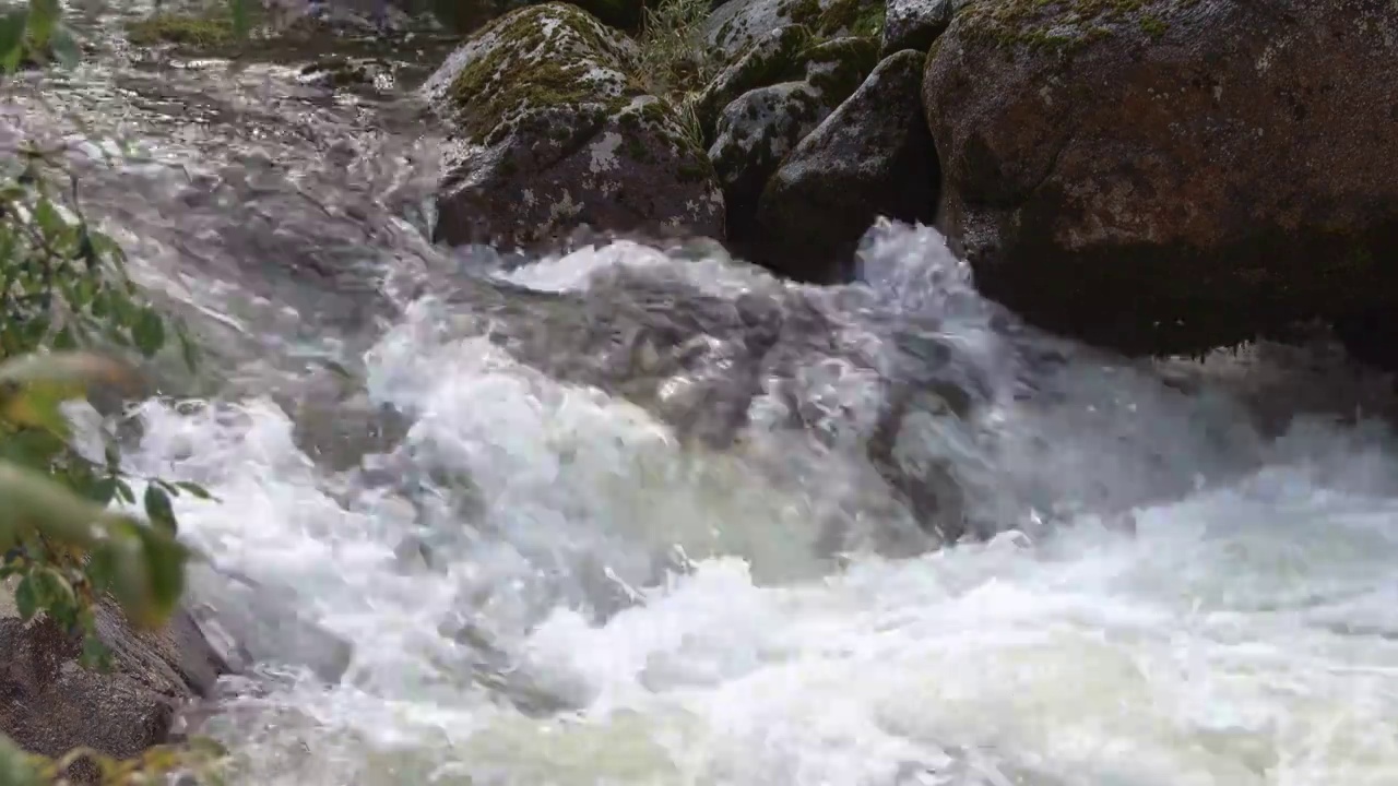 狭窄的石质水道中湍急的水流。河流在悬崖峭壁间沸腾流动。岩石上覆盖着苔藓和地衣。在长满绿叶的灌木岸边视频下载