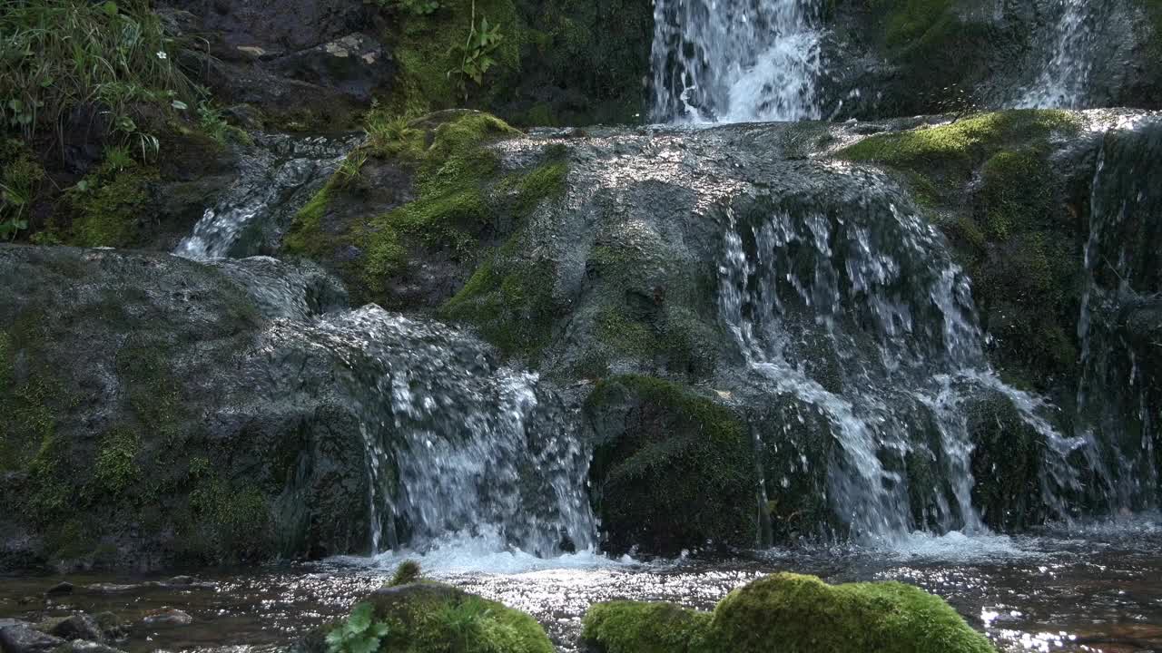 水从岩架和悬崖上流过。飞溅和喷射形成液滴。潮湿的巨石上长满了苔藓。清晨森林中的热带瀑布视频下载