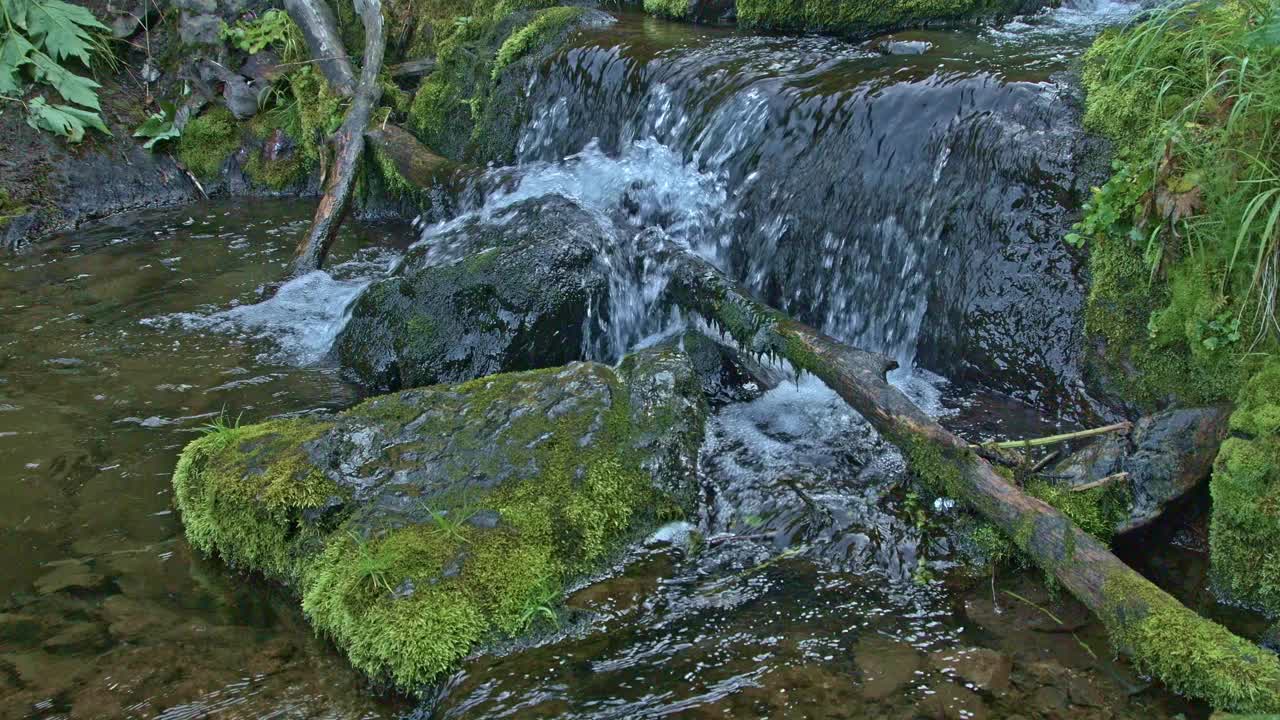 流在热带雨林。水如瀑布般倾泻在巨石和树枝上。河水沸腾，流入池塘。被苔藓环绕的小瀑布视频下载