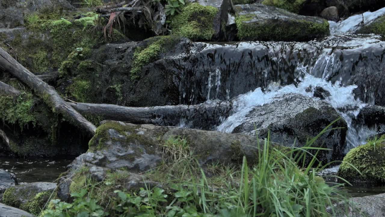 小溪沿着石壁流动，在石头上溅成小水花。河床上有潮湿的原木，岩石上覆盖着绿色的苔藓视频下载