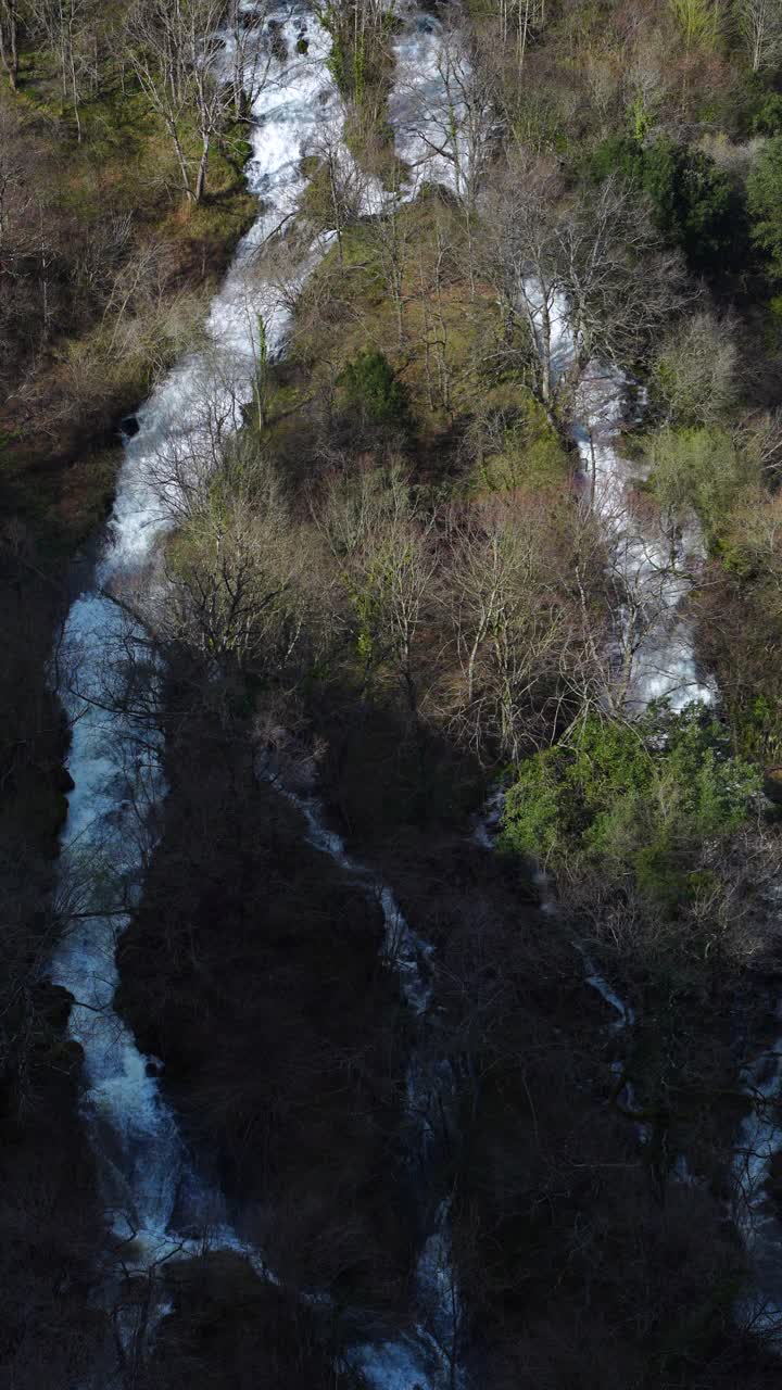 鸟瞰图Gándara河瀑布在春天，La Gándara, Soba山谷，瓦列斯帕西戈斯，坎塔布里亚，西班牙，欧洲视频素材